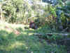 S3010069.JPG (373632 bytes)